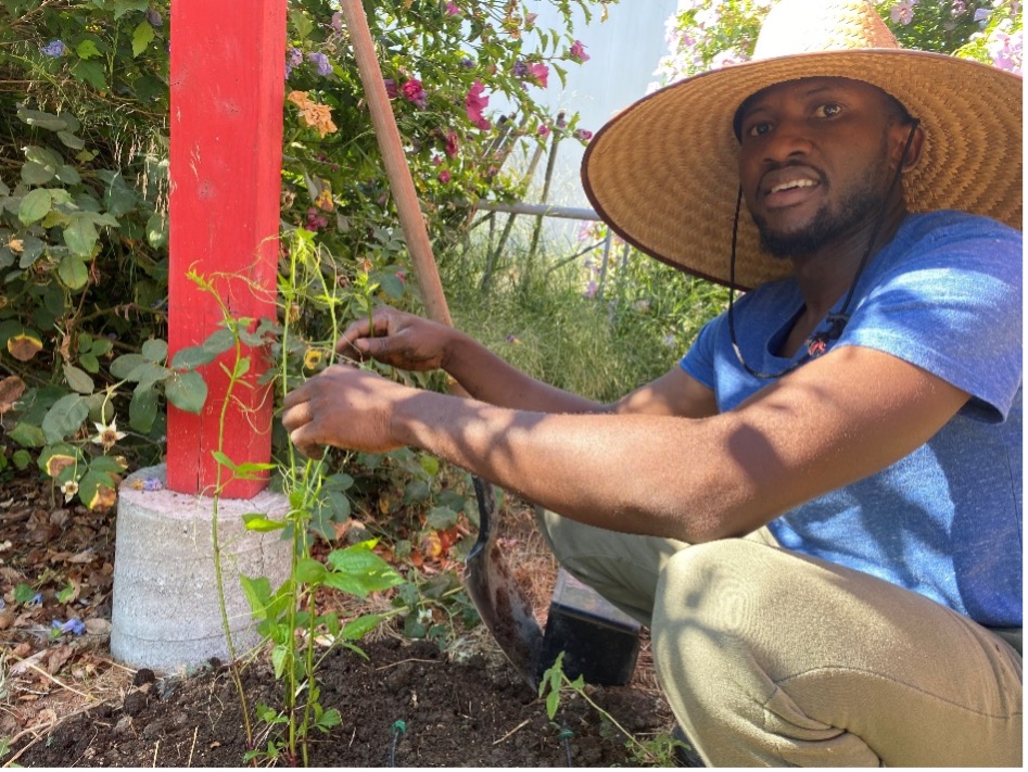 Green Fellow, Emmanuel Momoh