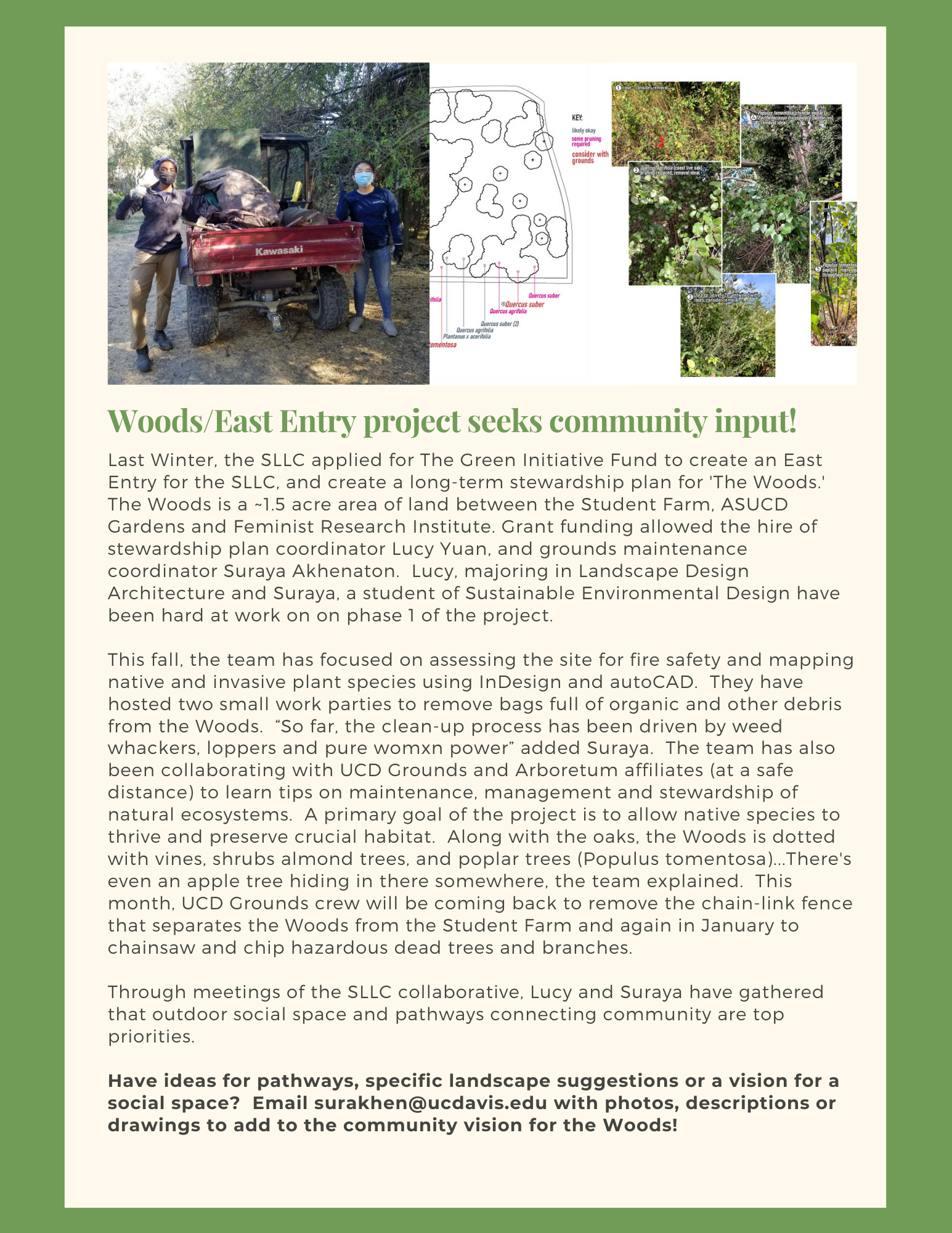 page 2 of sllc fall newsletter with renderings of the woods and pictures of students cleaning up space. 