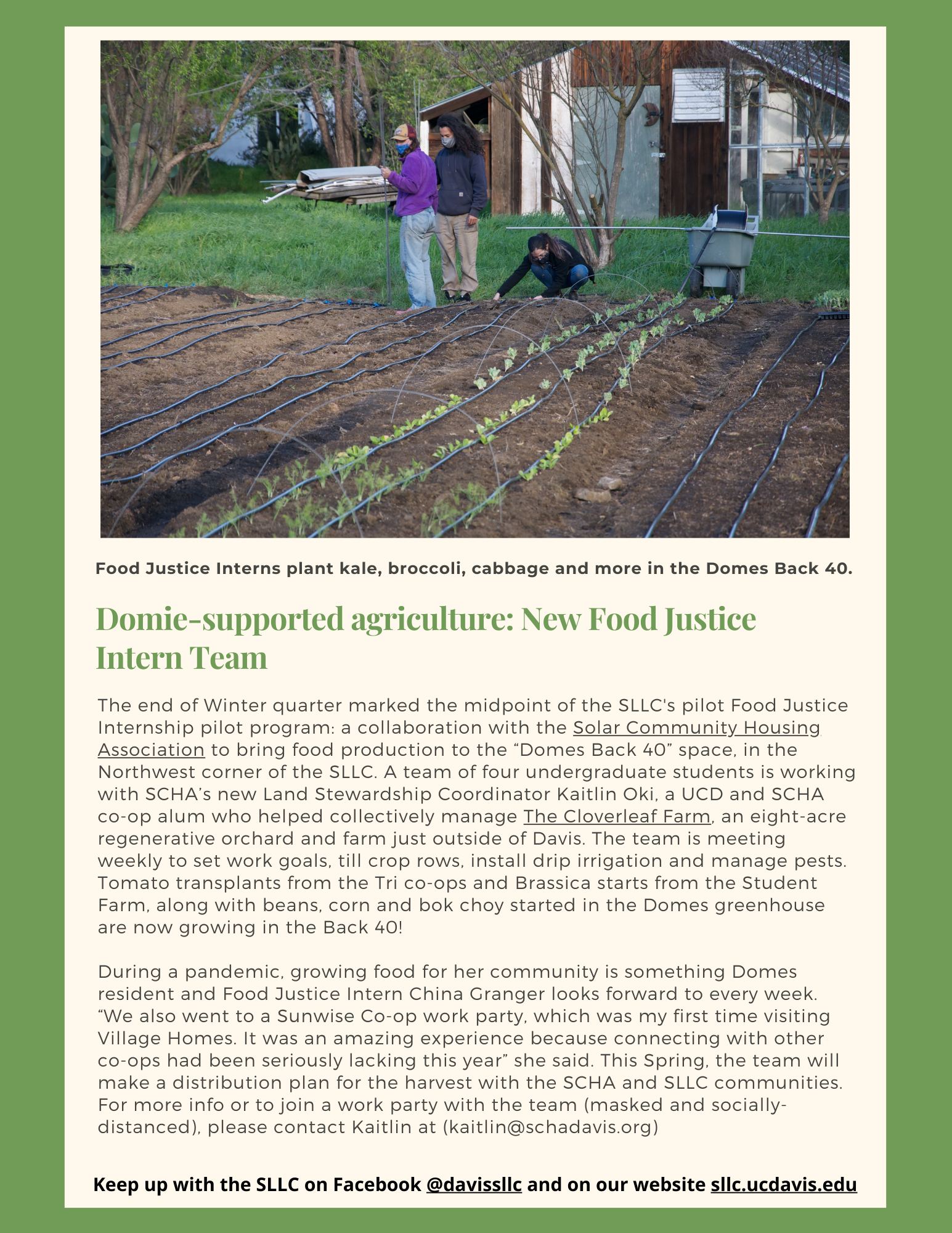 fourth page of winter newsletter showing students on the food justice intern team planting in the domes back 40 garden space 