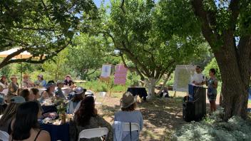 Green Fellows' presentation from a distance