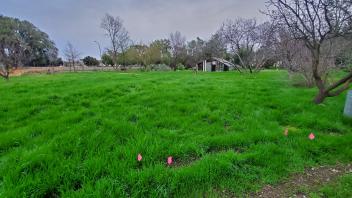 grassy field with greenhouse in the background 