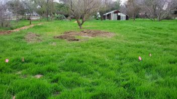 grassy field with greenhouse in the background 