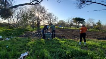 interns in the row crops and grass with the sun setting behind trees 