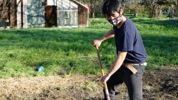 a student shovels compost into the row crop area of the food justice farm with greenhouse in the back 