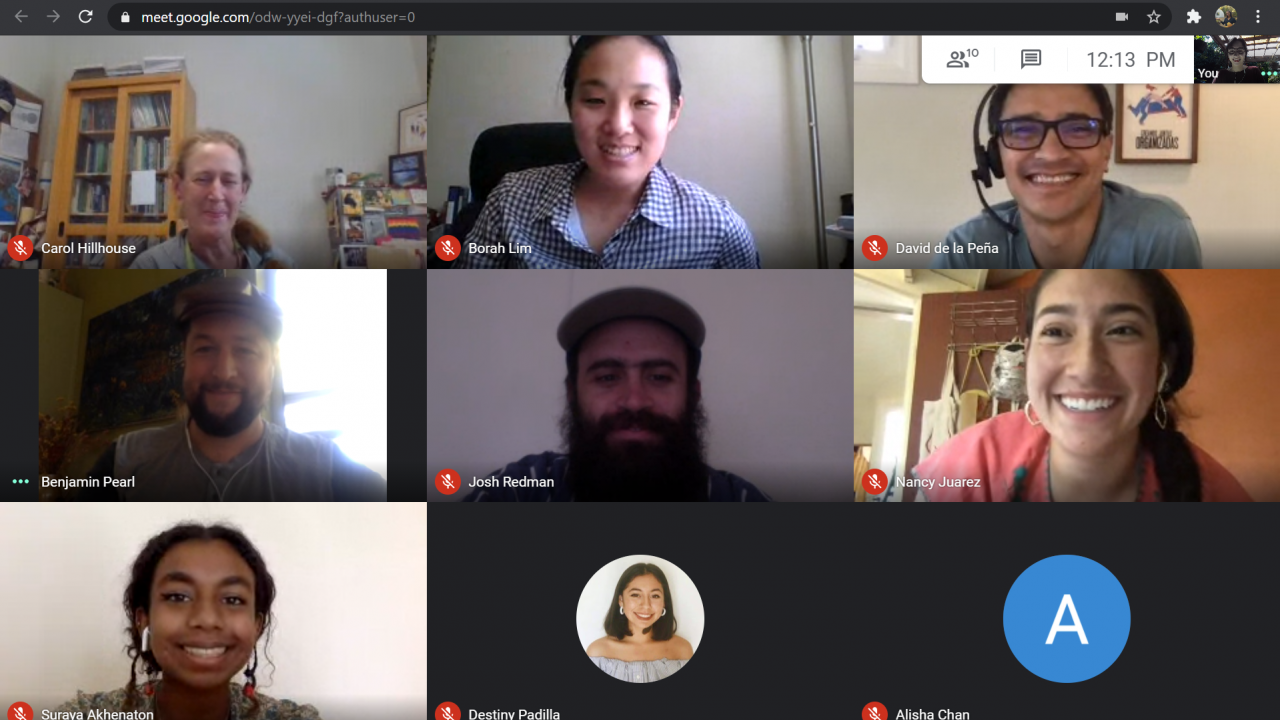 a screenshot of our online web conference with faces of participants in little boxes on the screen. 