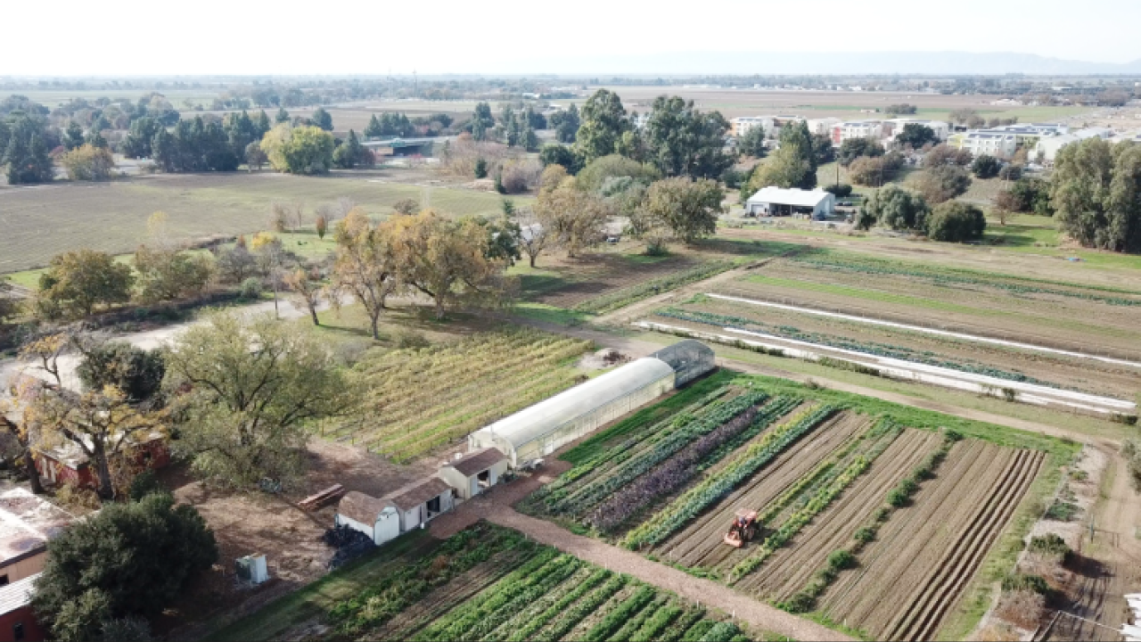 UC Davis Student Farm