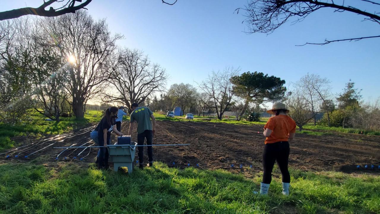four students in masks work on freshly tilled soil to plant vegetables in the Domes Back 40. 
