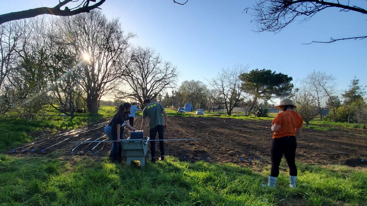 four students in masks work on freshly tilled soil to plant vegetables in the Domes Back 40. 