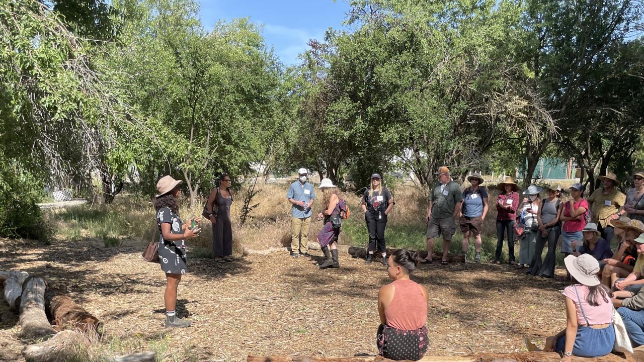 Green Donors in The Woods