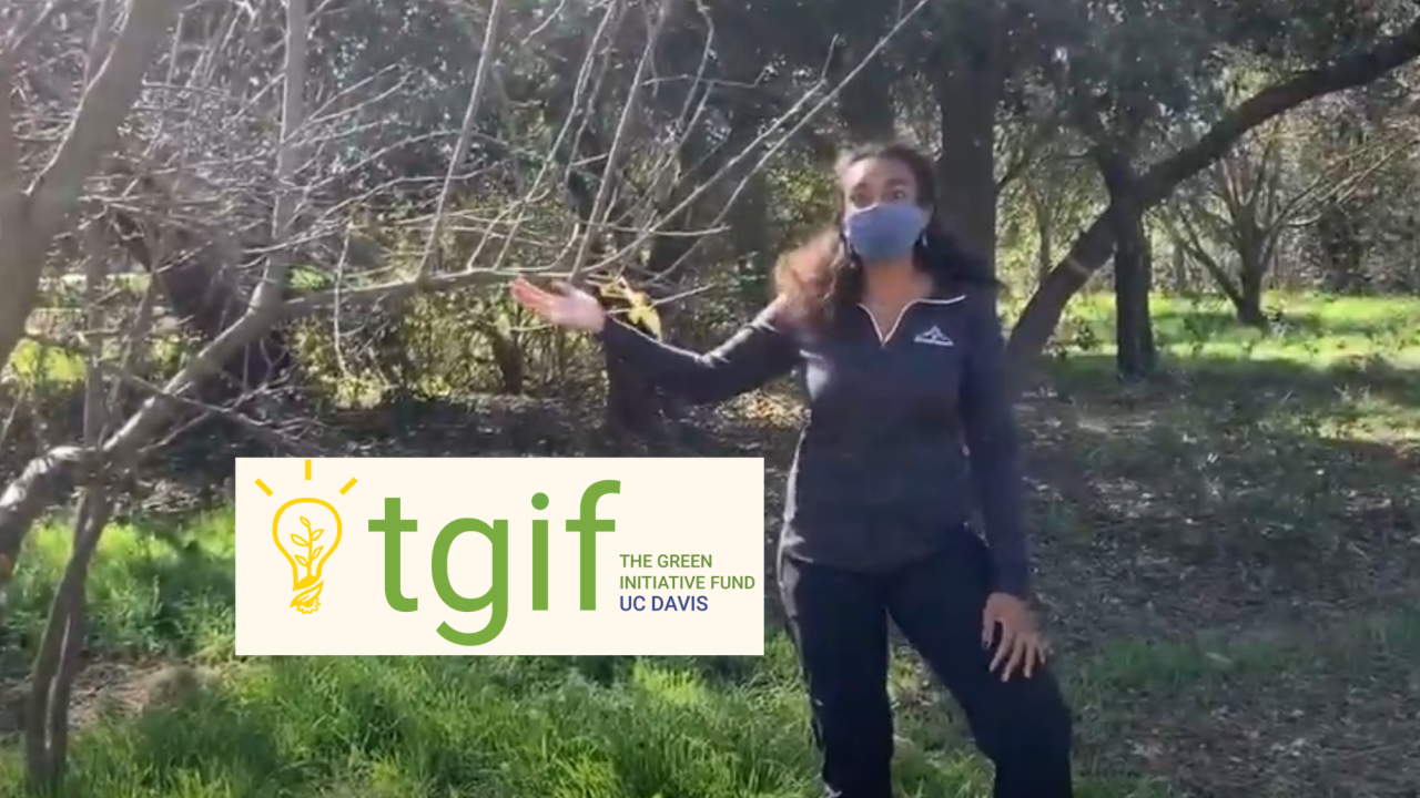 student iwth long brown hair wearing black working clothes masked points to a tree in the grass and the TGIF logo in the middle.
