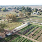 UC Davis Student Farm 