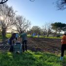 four students in masks work on freshly tilled soil to plant vegetables in the Domes Back 40. 