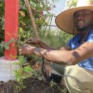 Emmanuel Momoh shown gardening